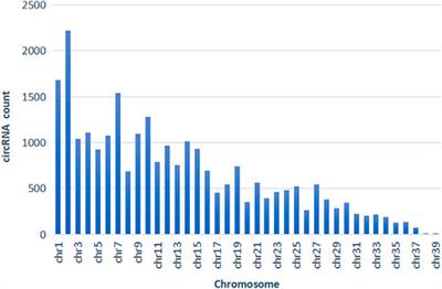 Differential expression of circRNAs of testes with high and low sperm motility in Yili geese